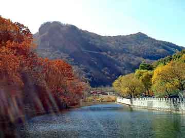 天天彩好彩天天免费，景泰seo公司